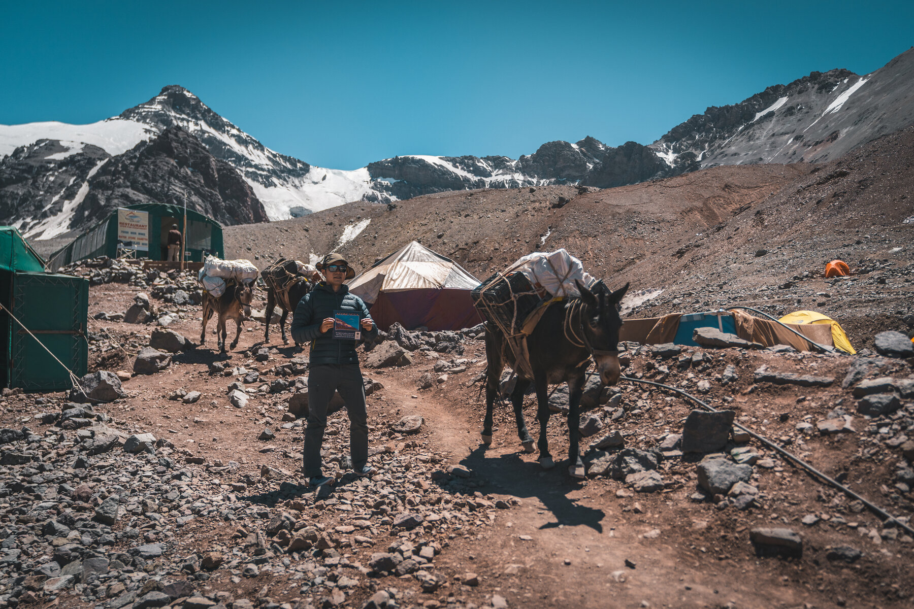 Mule handler with pack mules at Plaza de Mulas base camp with glaciated peaks behind