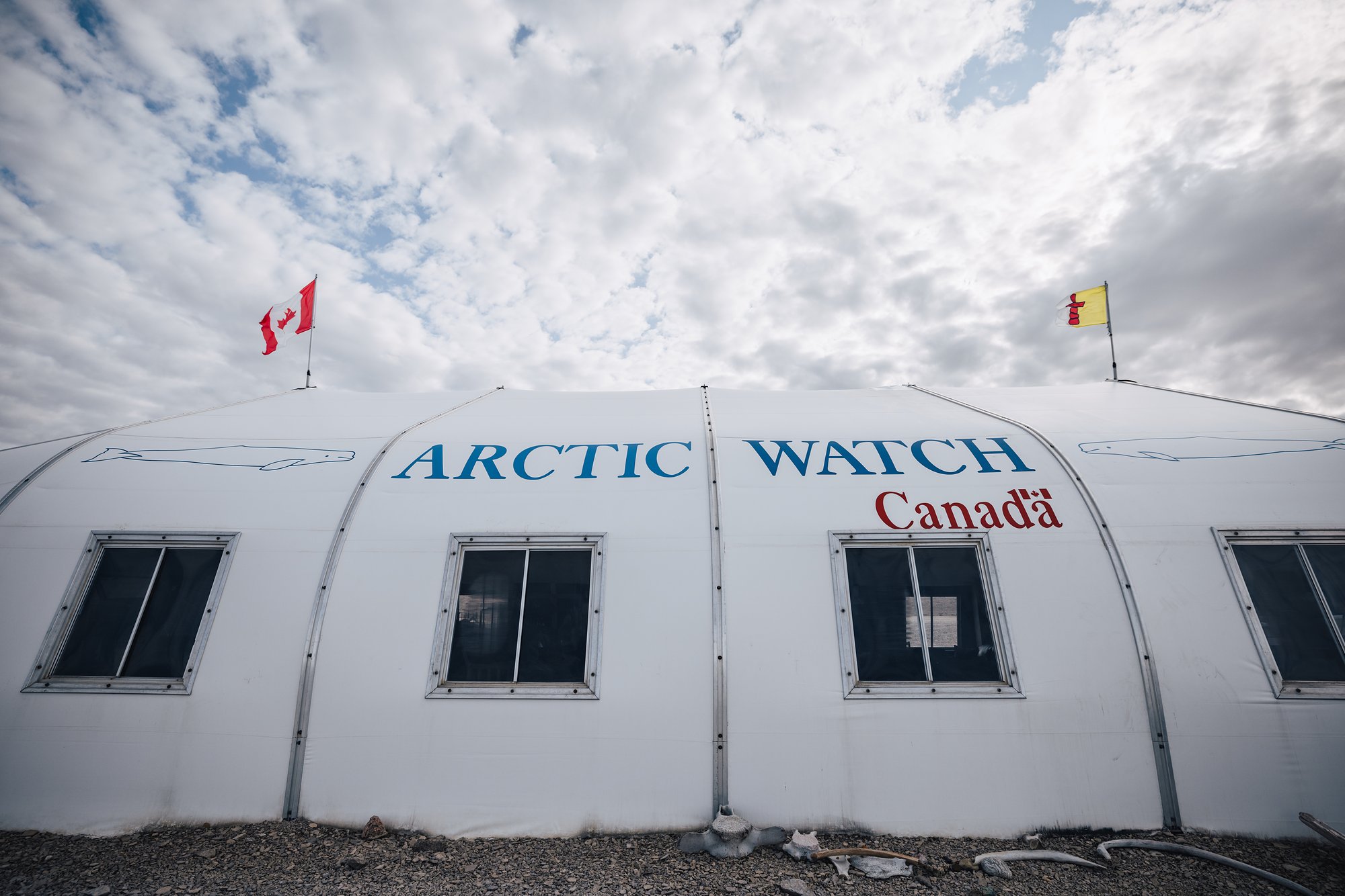 The Arctic Watch main lodge tent with painted belugas under a cloudy sky