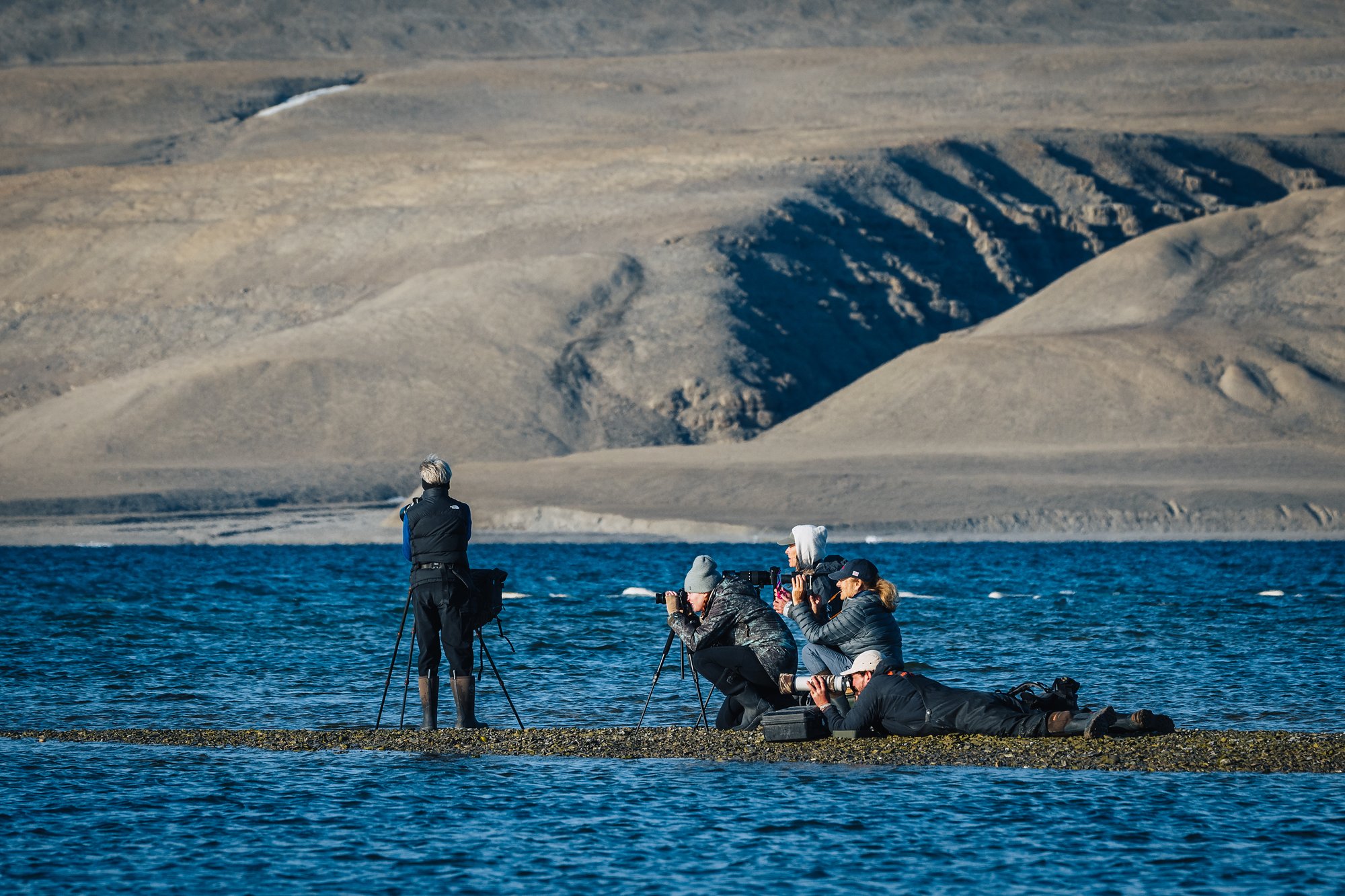 Photographers standing, sitting and lying flat on a low gravel spit, belugas surfacing just offshore, brown hills behind