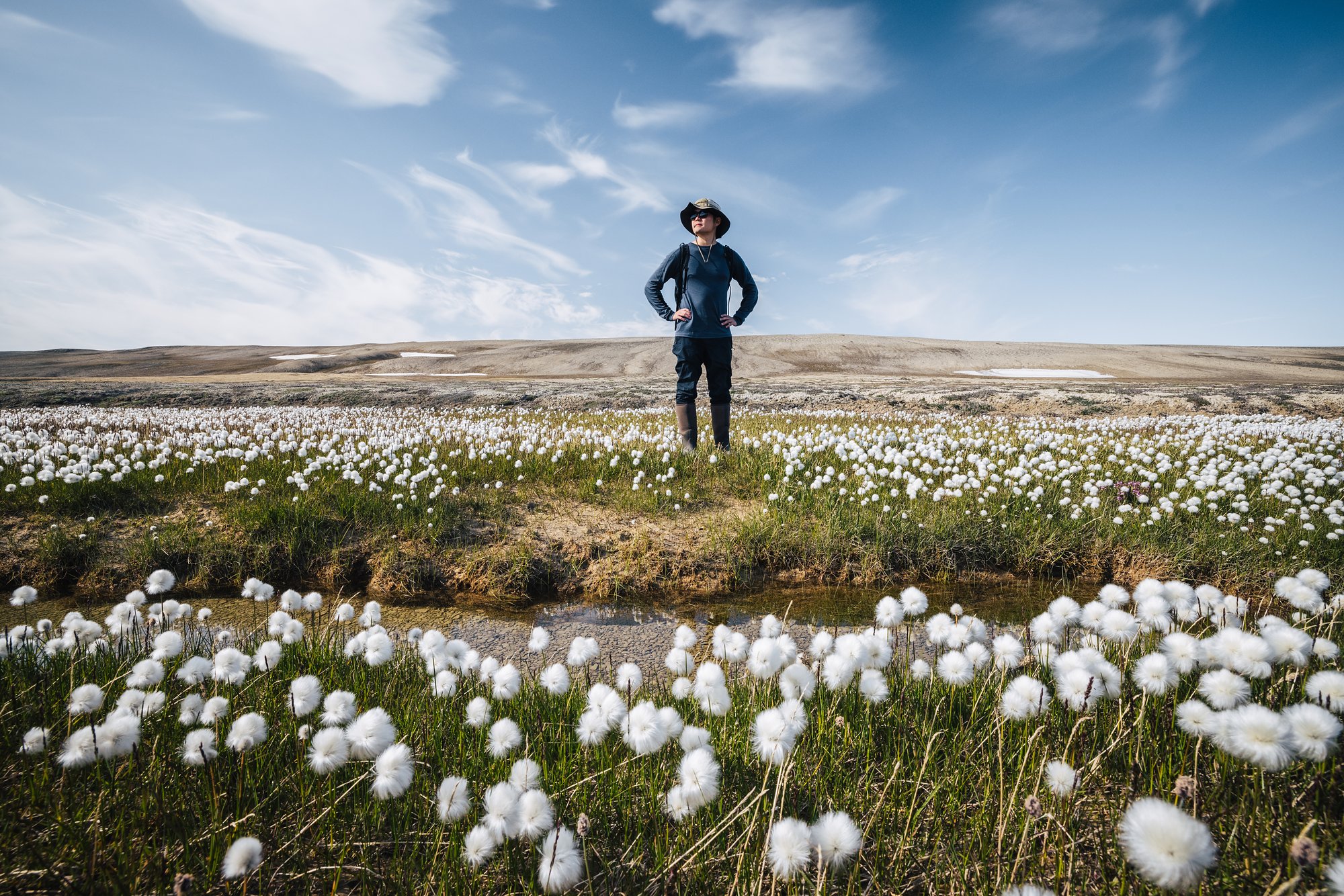 Standing in a field of cottongrass on the tundra under a big sky