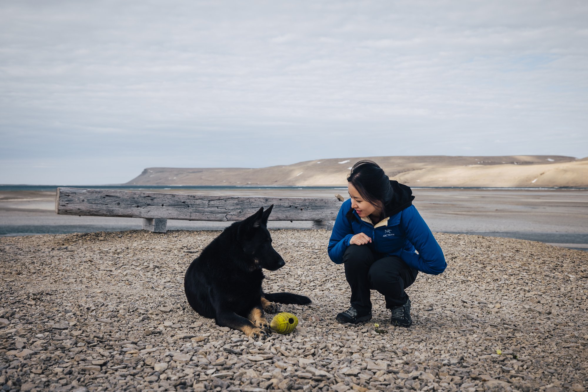 Grace crouching to play with the black camp dog and its yellow football on the gravel