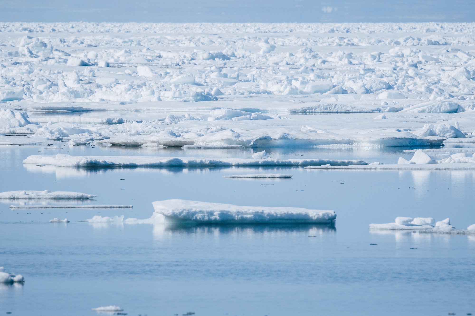 Pack ice stretching flat to the horizon