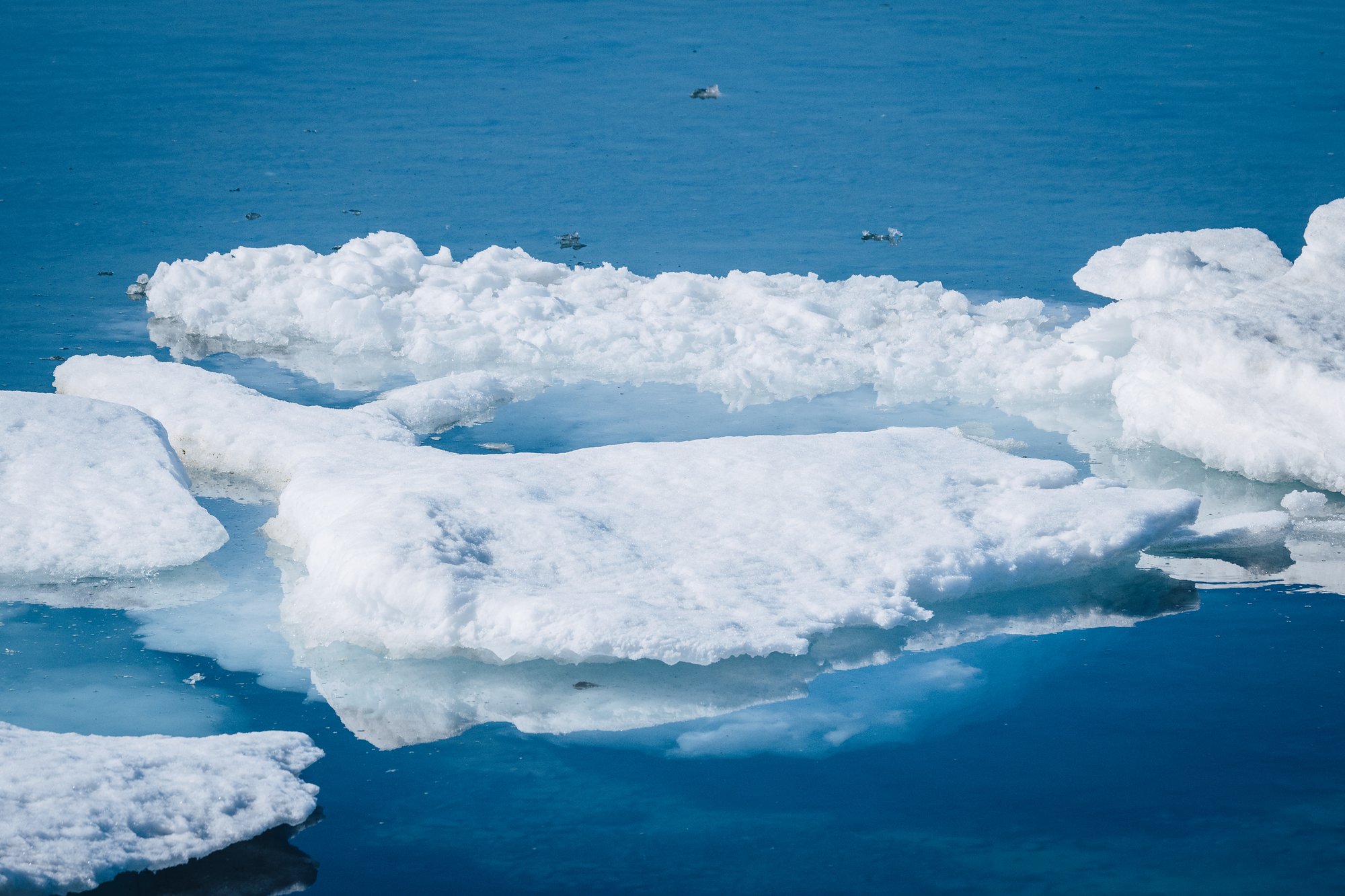 Thick floes of sea ice floating on deep blue water