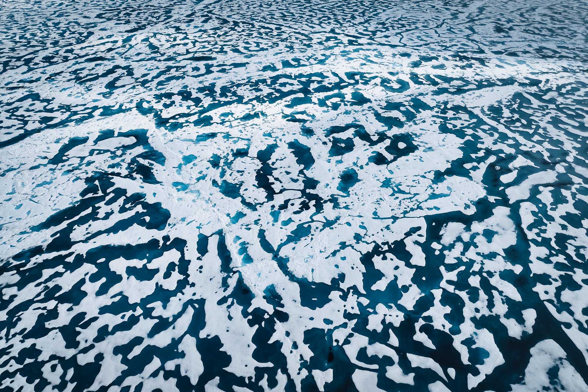 Aerial view of sea ice broken into a lace of floes and meltwater