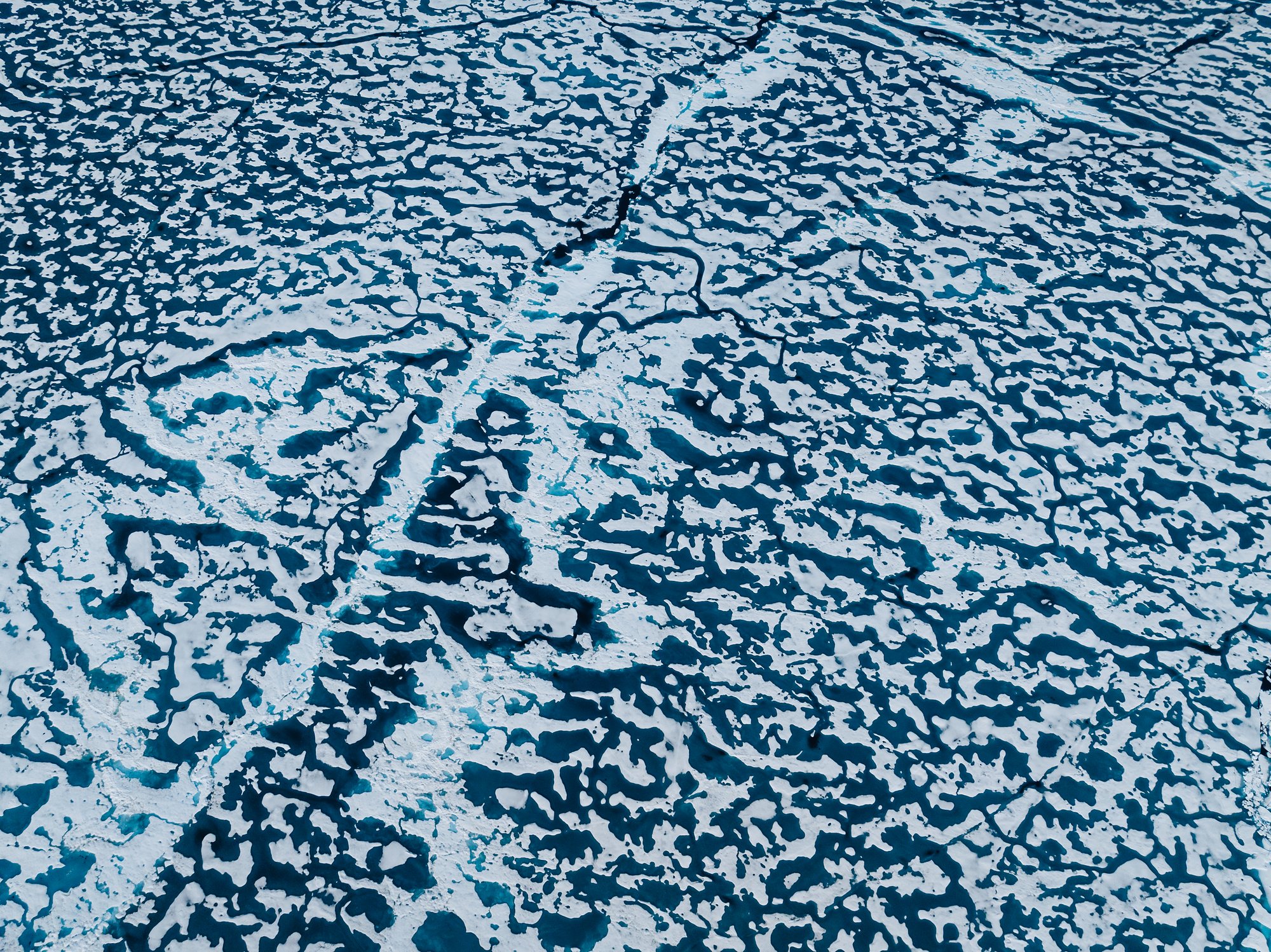 Aerial view of sea ice laced with blue melt ponds and a long crack