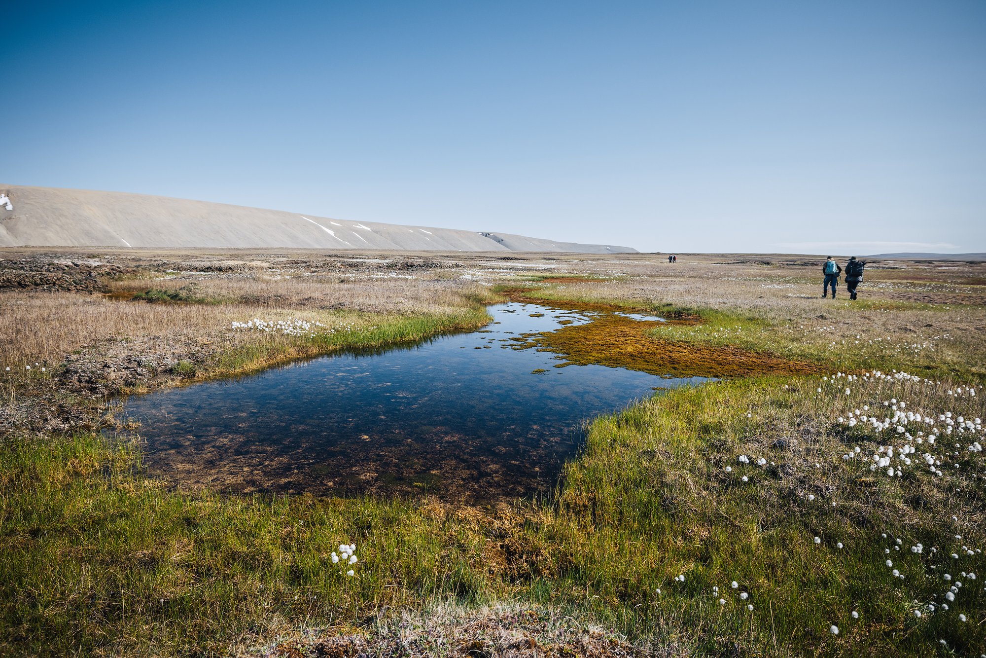 A tundra pond reflecting the sky, cottongrass on its banks and two hikers in the distance