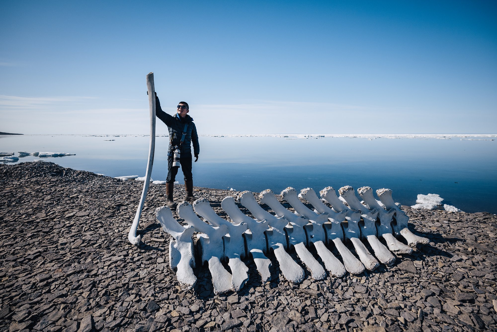 Standing beside a whale skeleton on the stony shore, one great bone planted upright, sea ice beyond