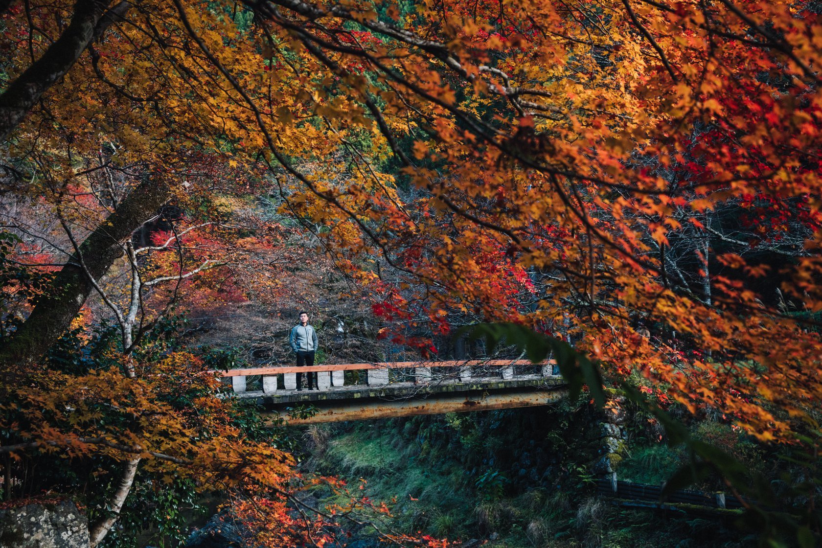 Miyamasou ryokan nestled in autumn mountains