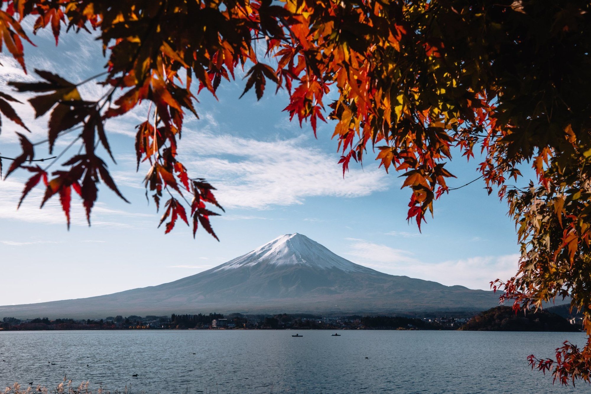 Lake shore at Oishi Park