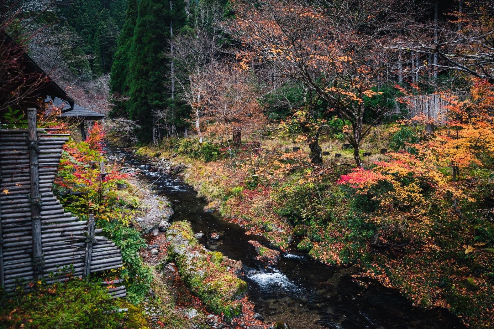 Miyamasou mountain forest