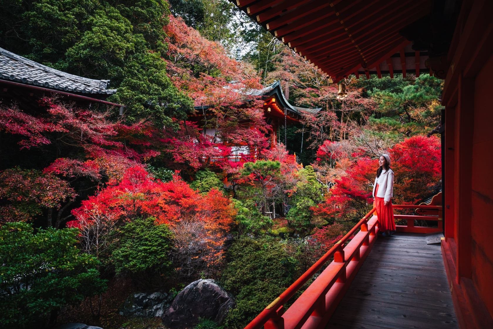 Bishamondo Temple stairs carpeted with maple leaves