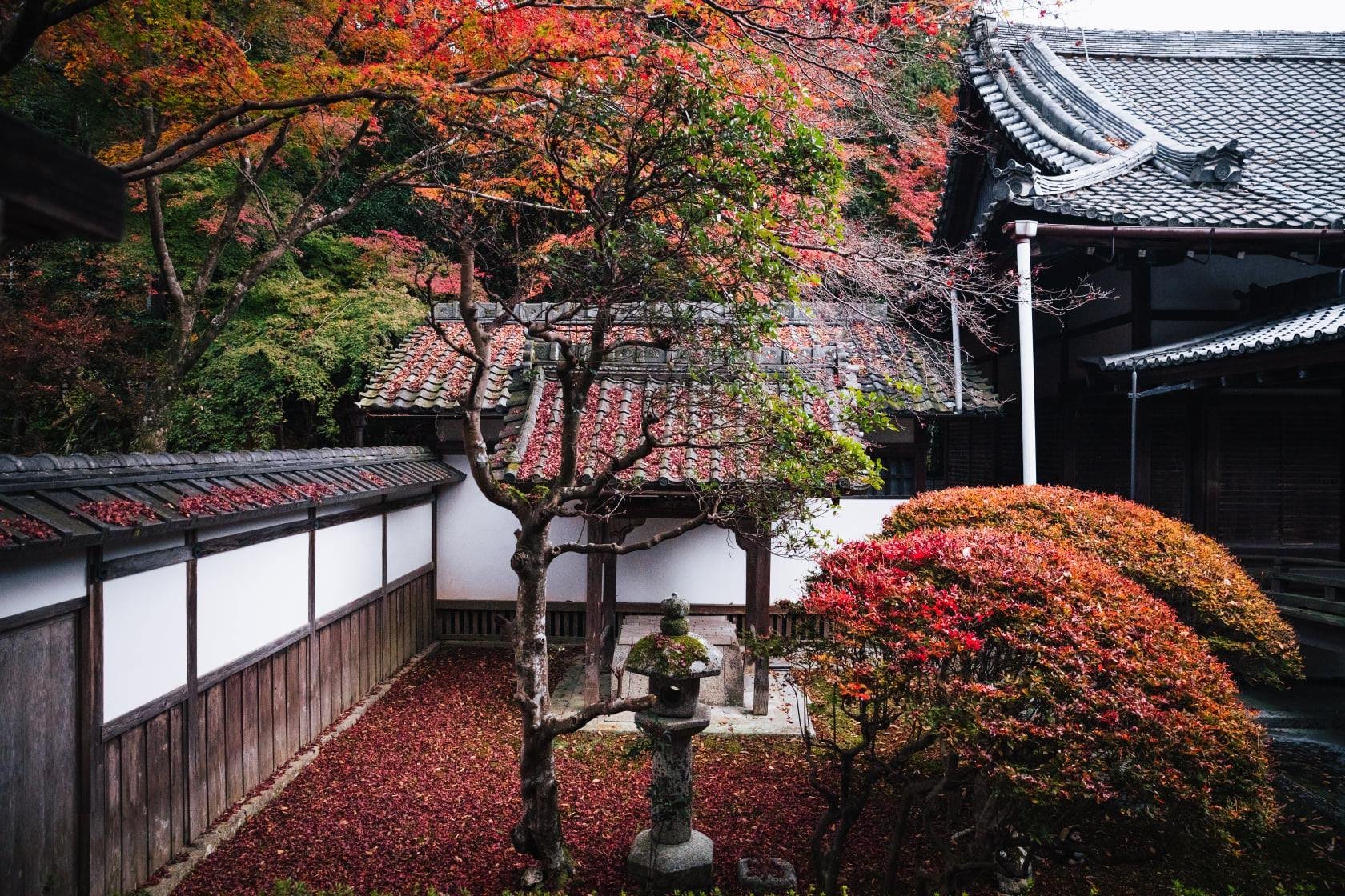 Kyoto valley view