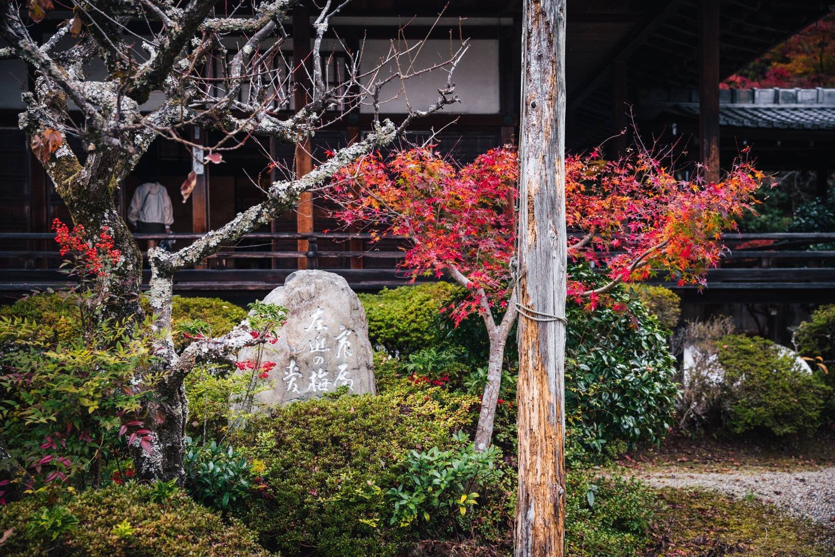 Autumn light at Bishamondo
