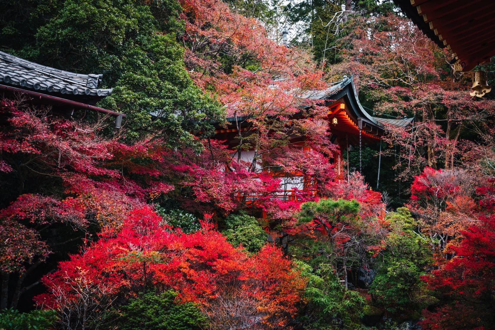 Bishamondo detail