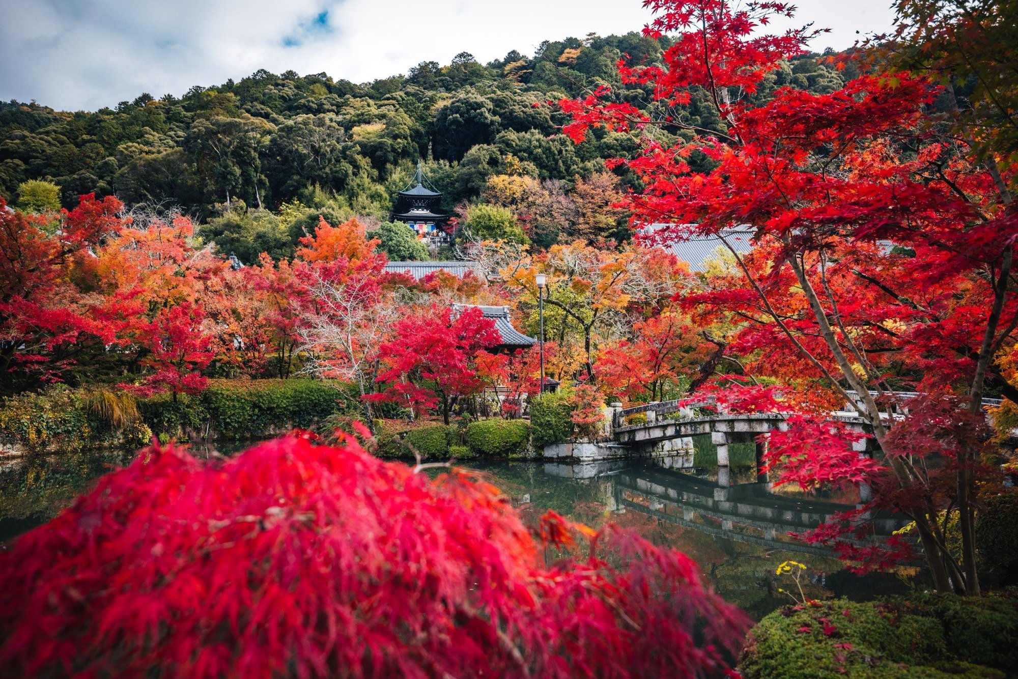 Eikando Temple entrance in autumn