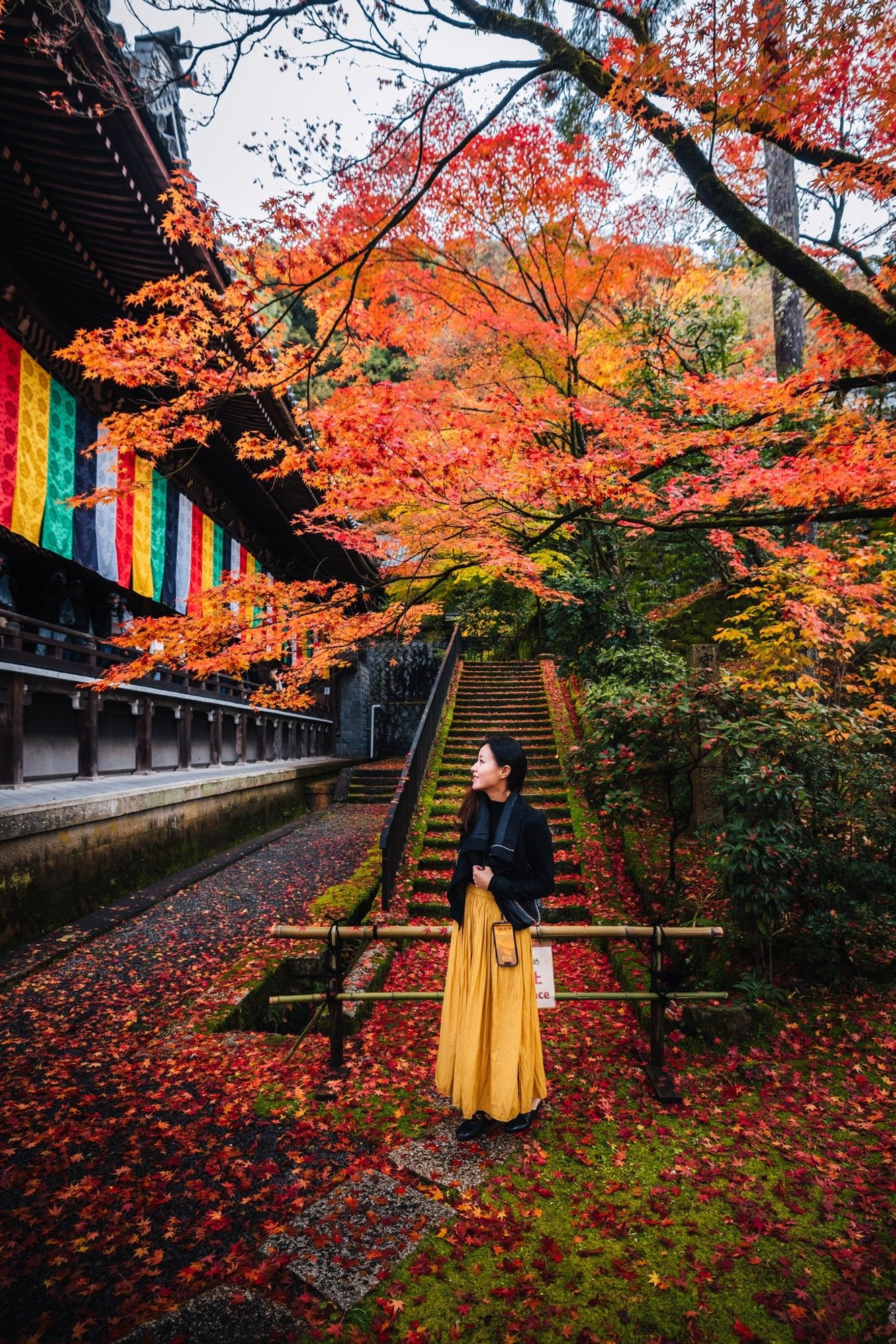 Maple canopy