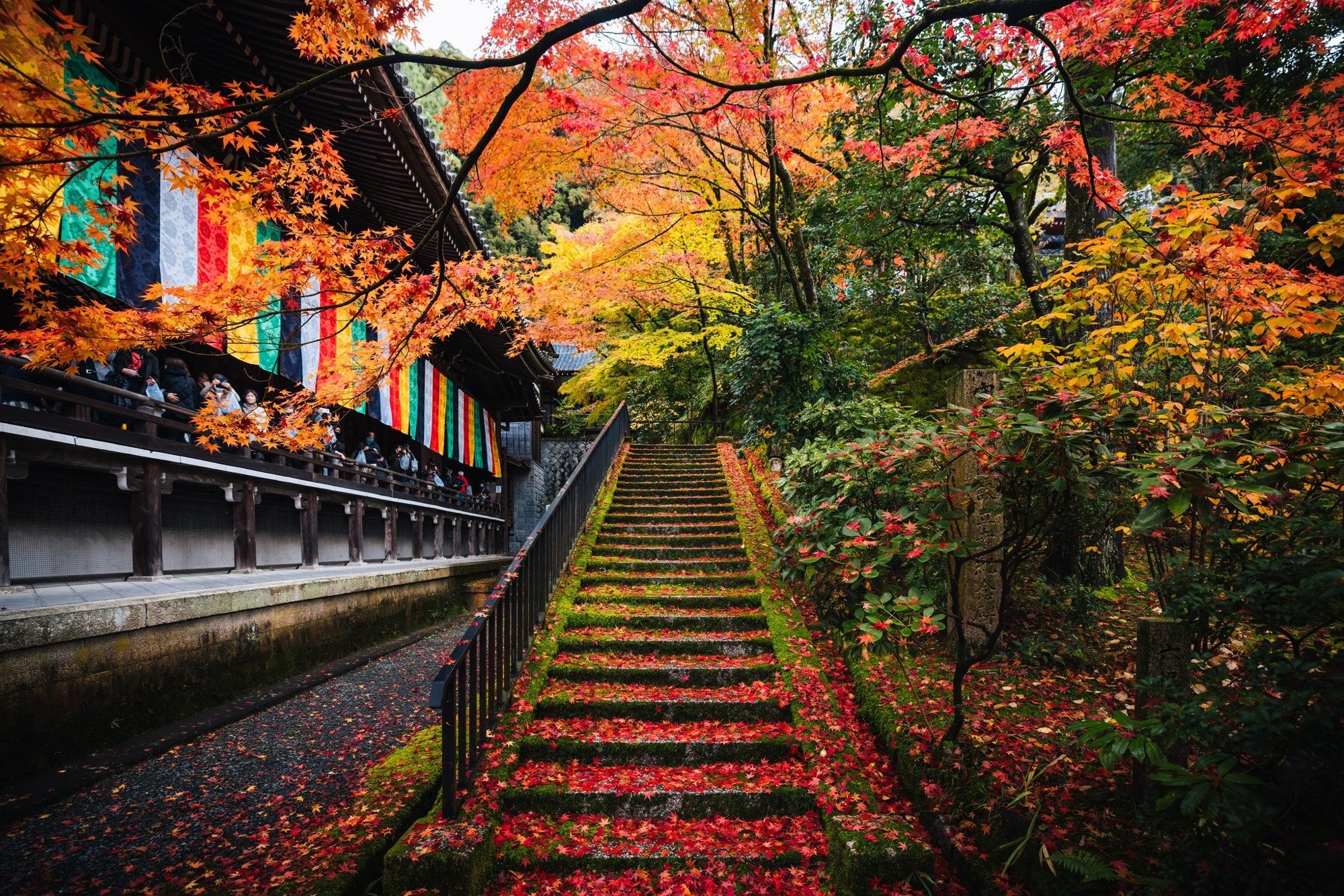 Pagoda view