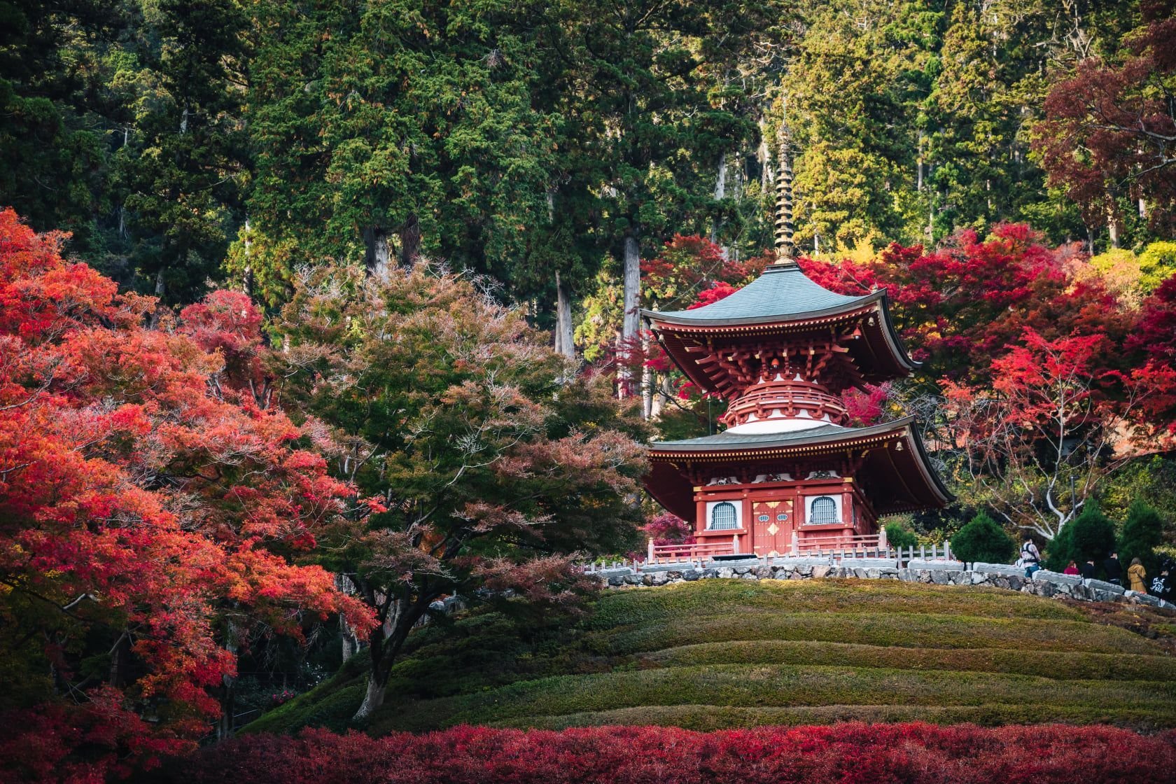 Katsuoji Temple with autumn colors and daruma dolls