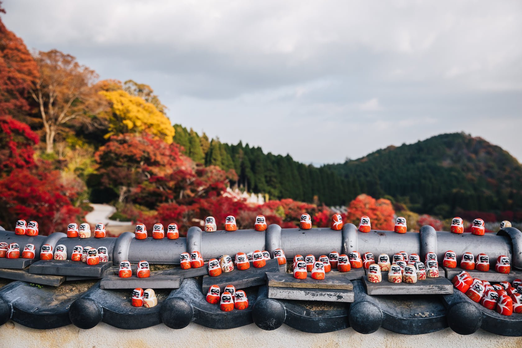 Daruma detail