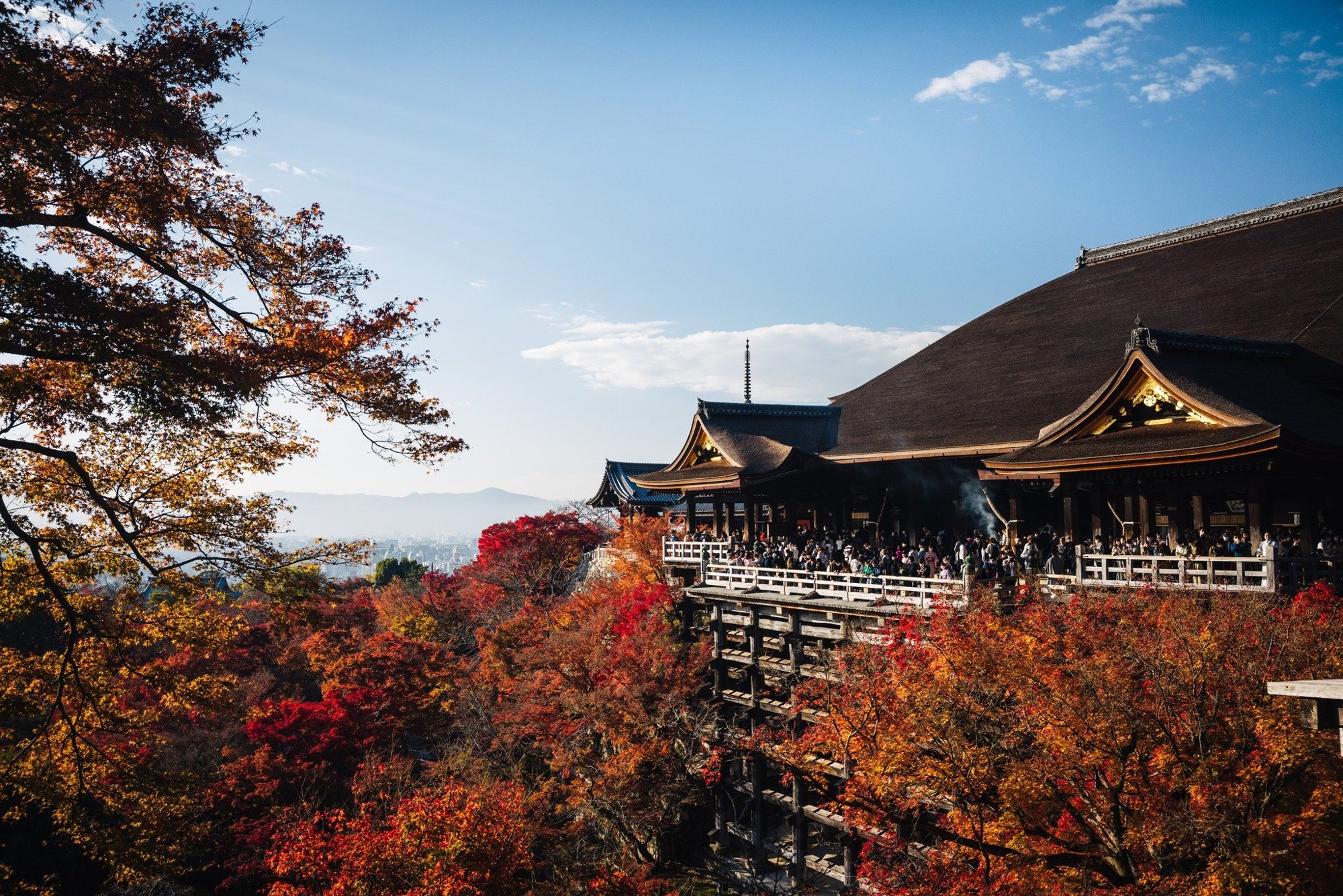 Kiyomizu morning mist