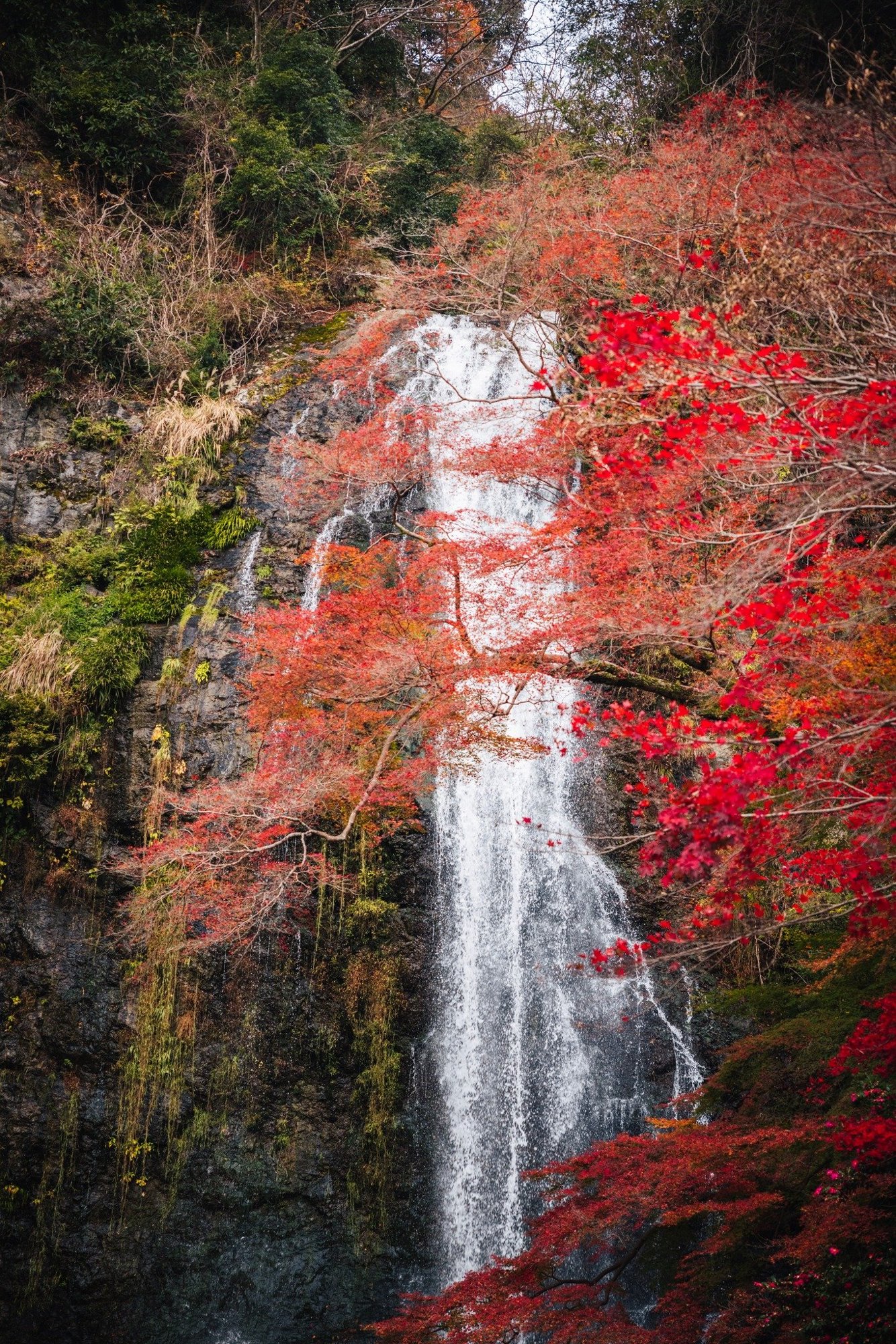 Minoh valley detail