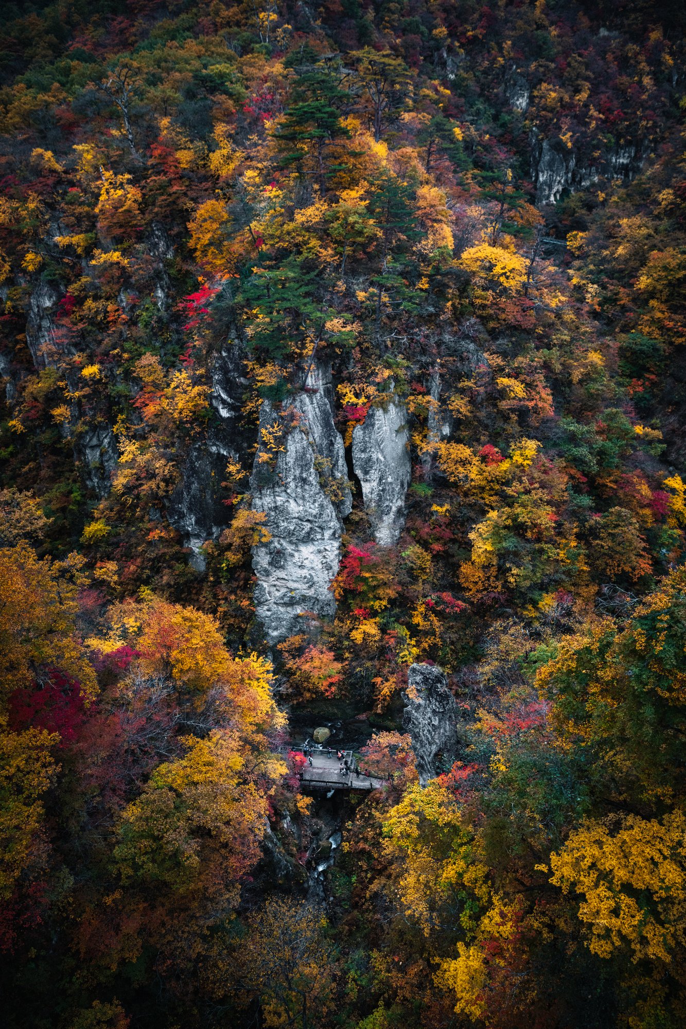 Rock pillars rising out of the autumn forest inside Naruko Gorge