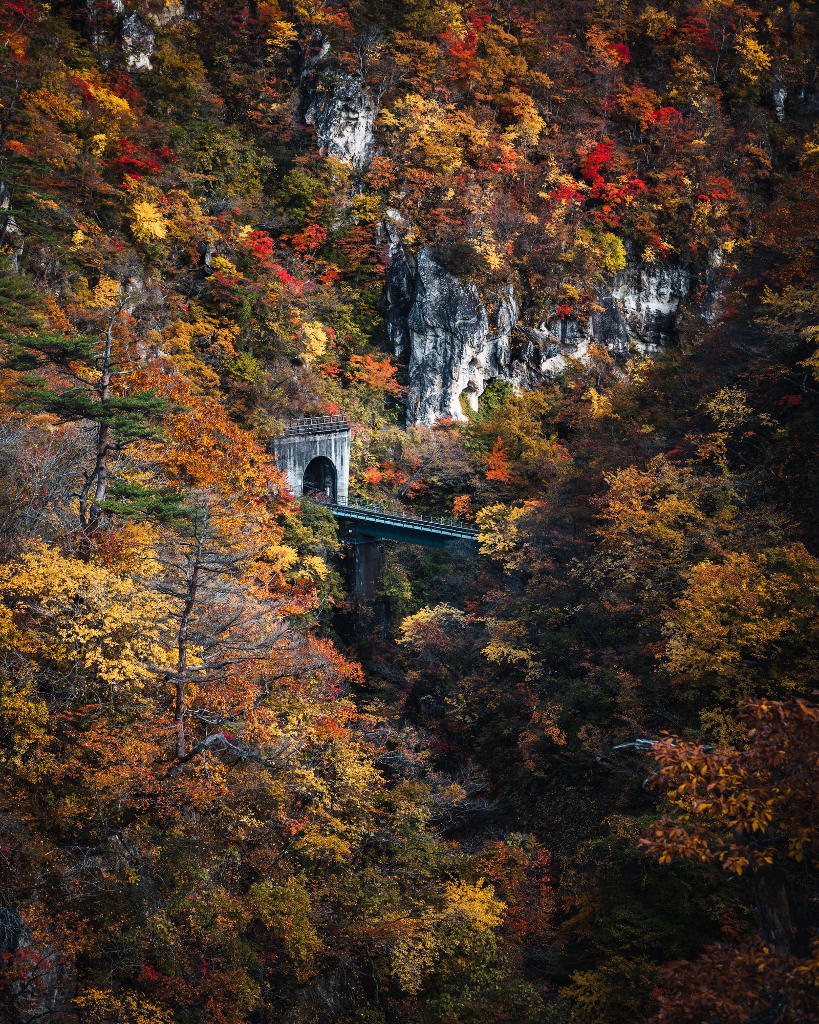 The JR Rikuu East Line rail bridge and tunnel mouth on the cliff at Naruko Gorge in autumn