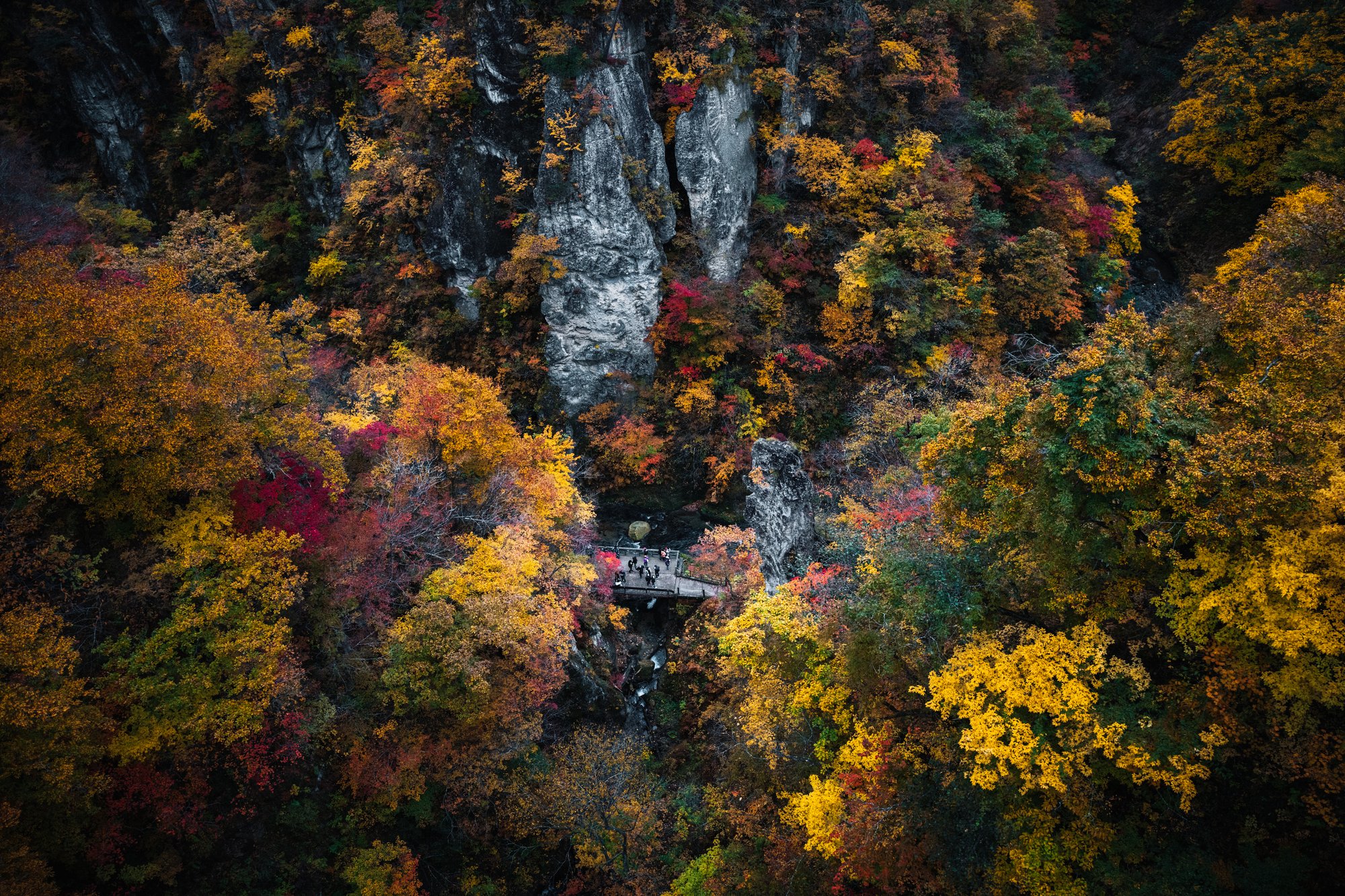 Grey cliff faces and a small viewing deck surrounded by autumn foliage in Naruko Gorge