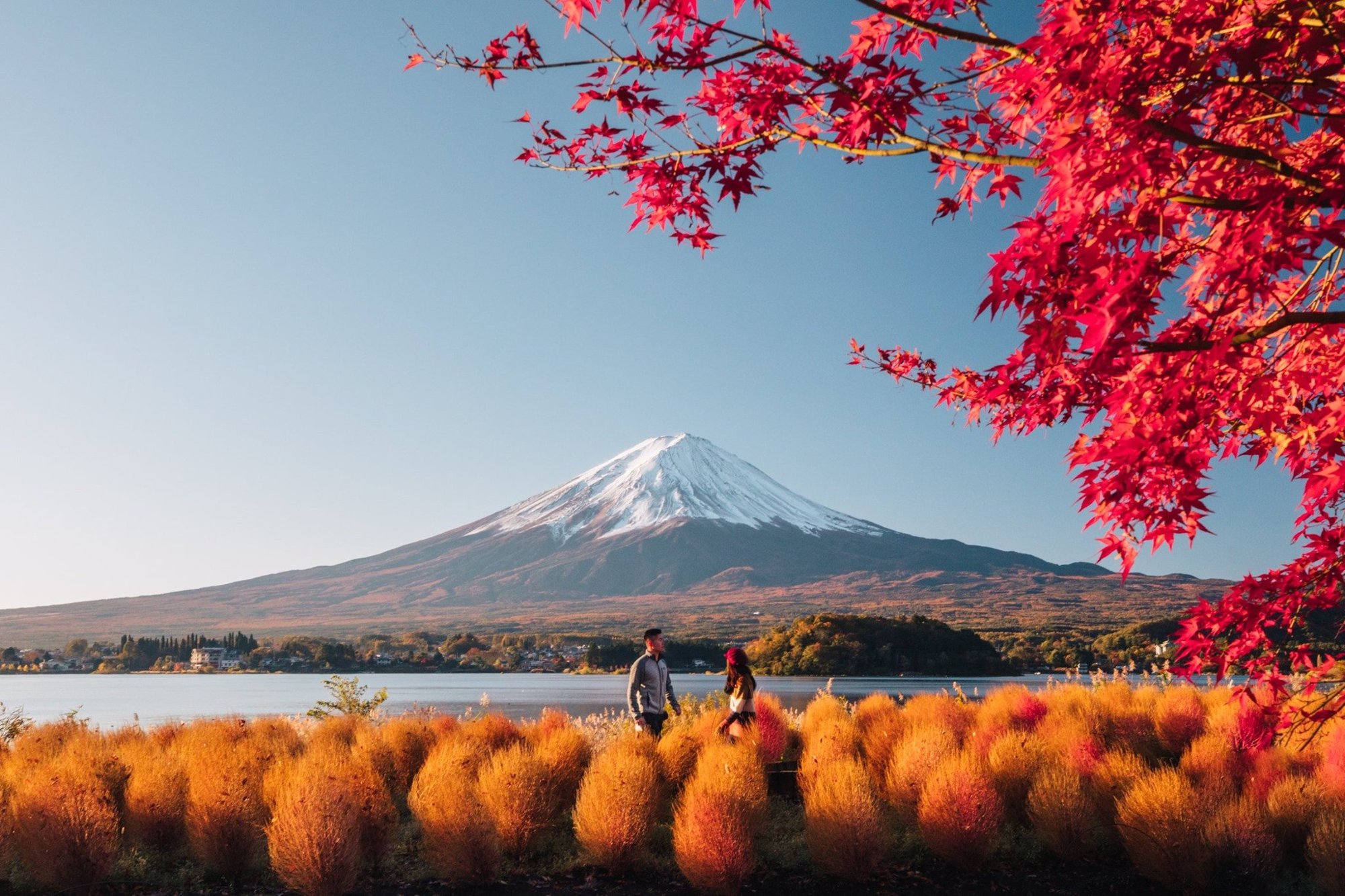 Oishi Park with Mount Fuji and autumn colors