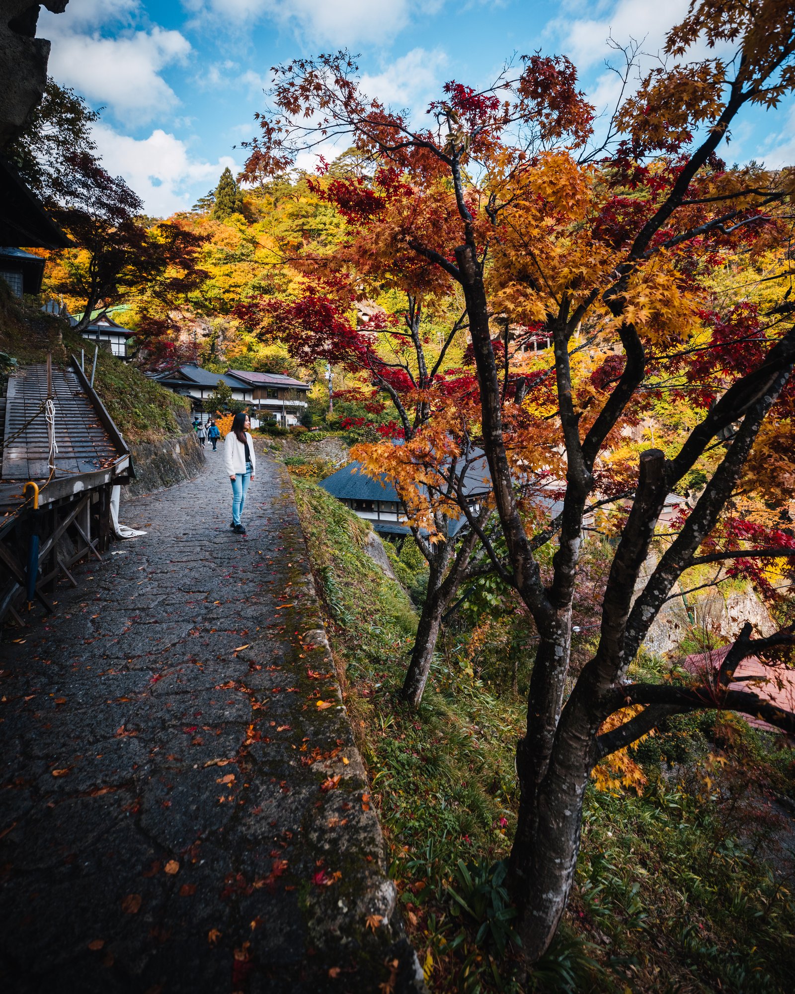Grace walking the stone path at Risshaku-ji under red and gold maples