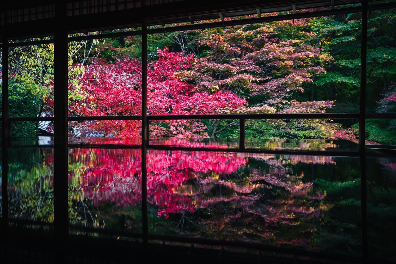 Garden view