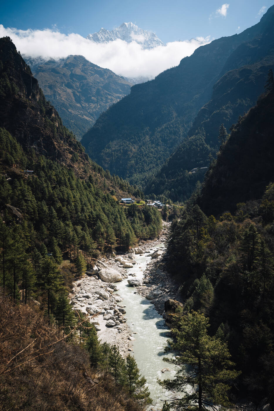 The Dudh Koshi River carving a milky-glacial channel through a forested gorge with snow peaks above
