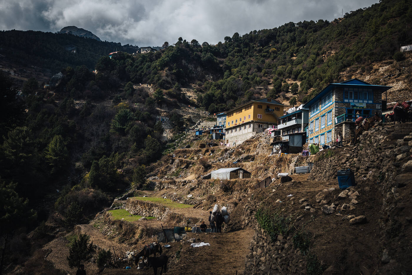 A hillside settlement with yellow and blue lodges terraced into the steep slope, pack animals grazing below
