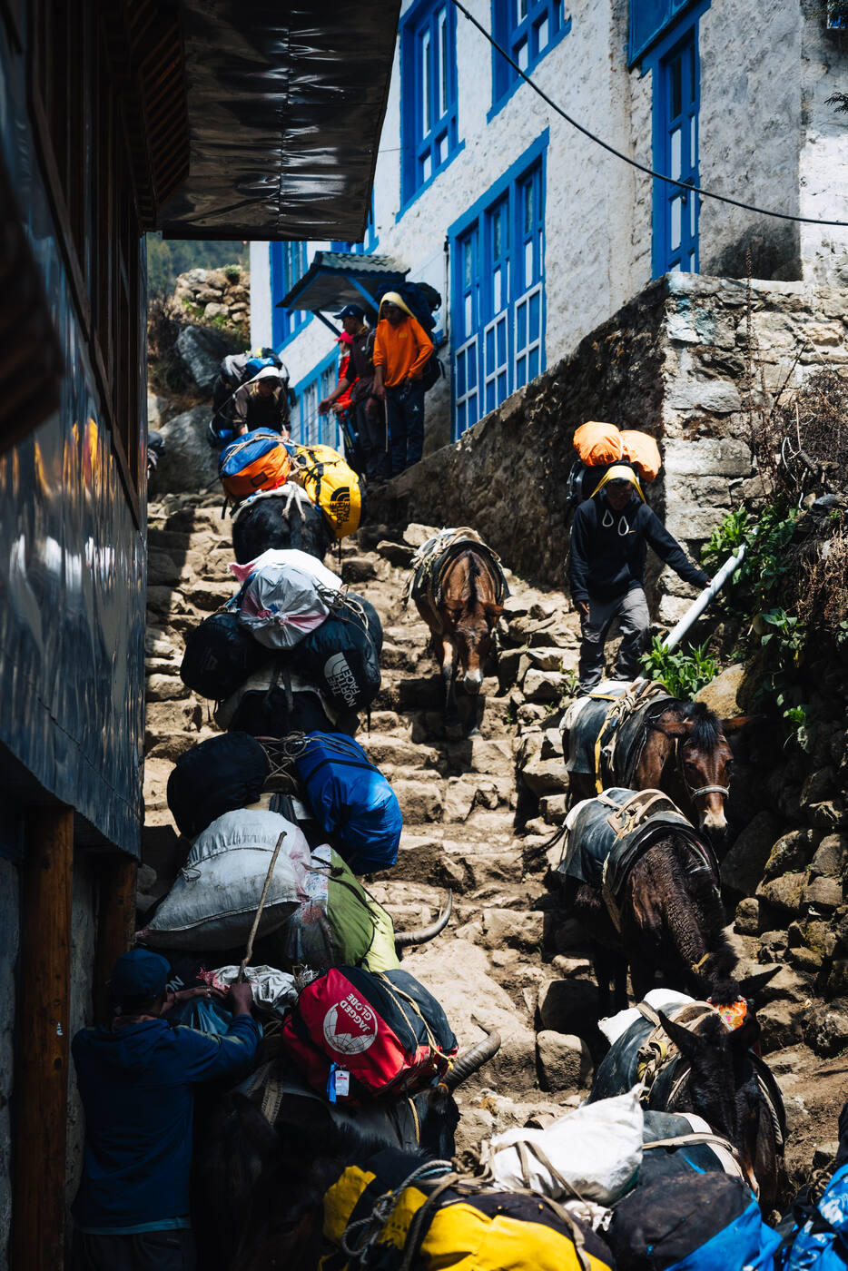 Porters and pack mules climbing a narrow stone alley between blue-windowed lodges in upper Namche