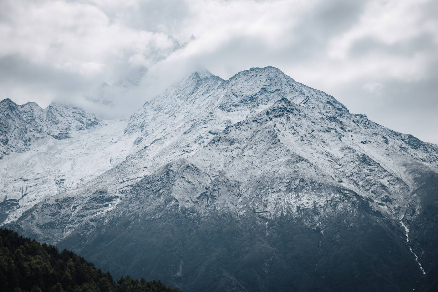 A snow-capped peak rising above silhouetted pine forest near Deboche under overcast skies