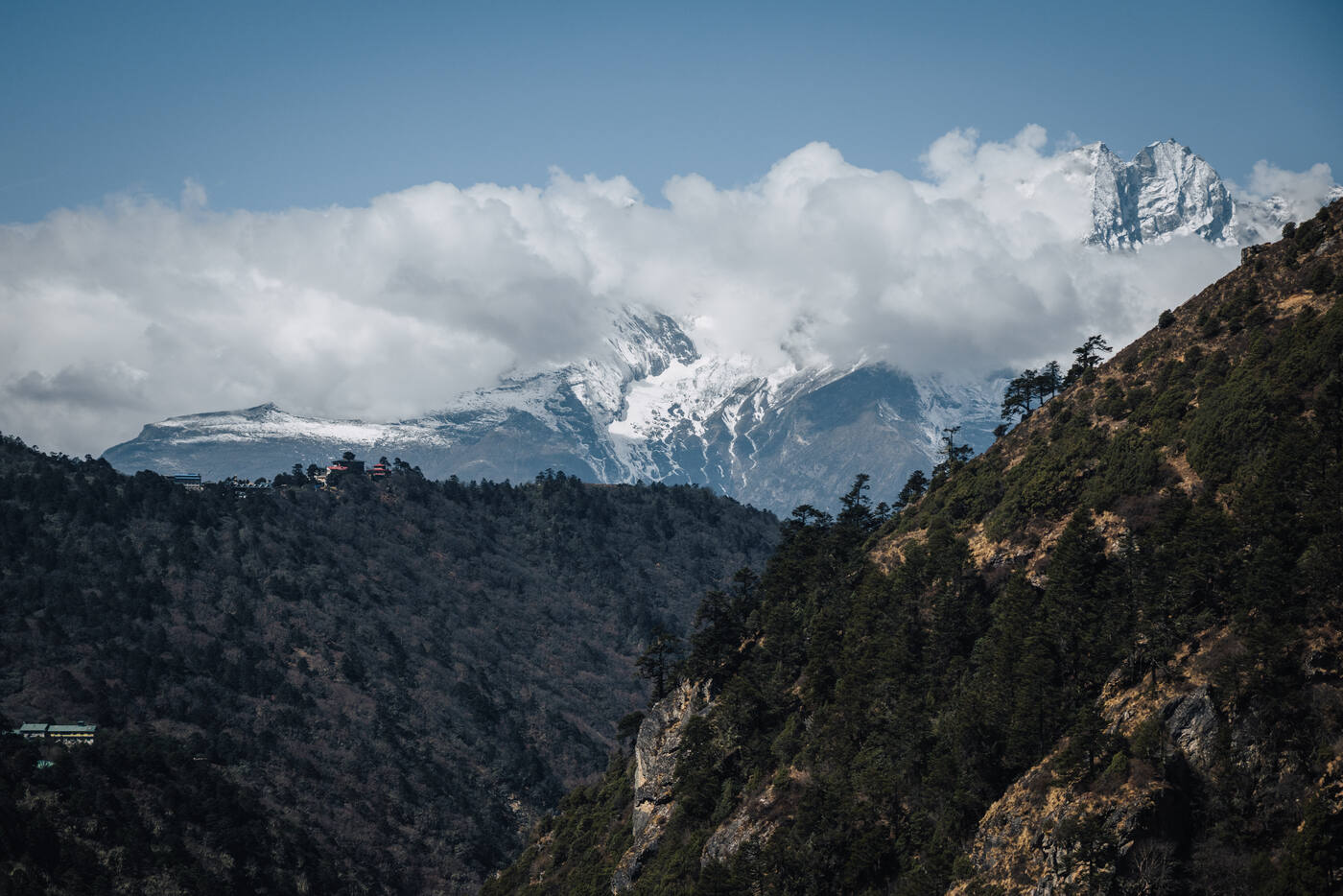 Snow-capped peaks rising above the pine forest on the climb out of Deboche