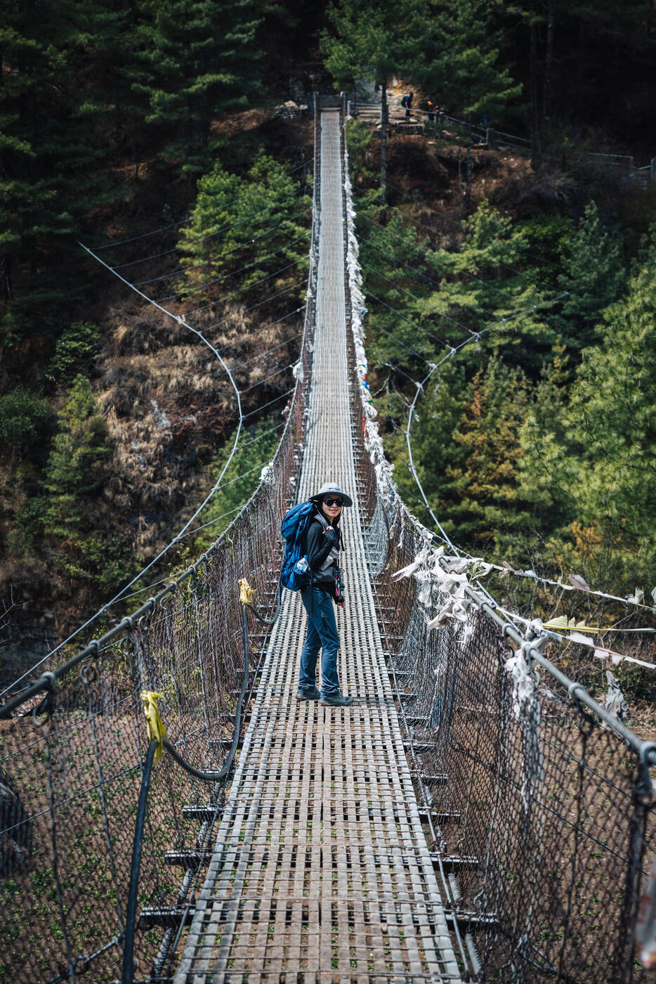 A trekker pausing midway across a long suspension bridge strung high above a forested ravine