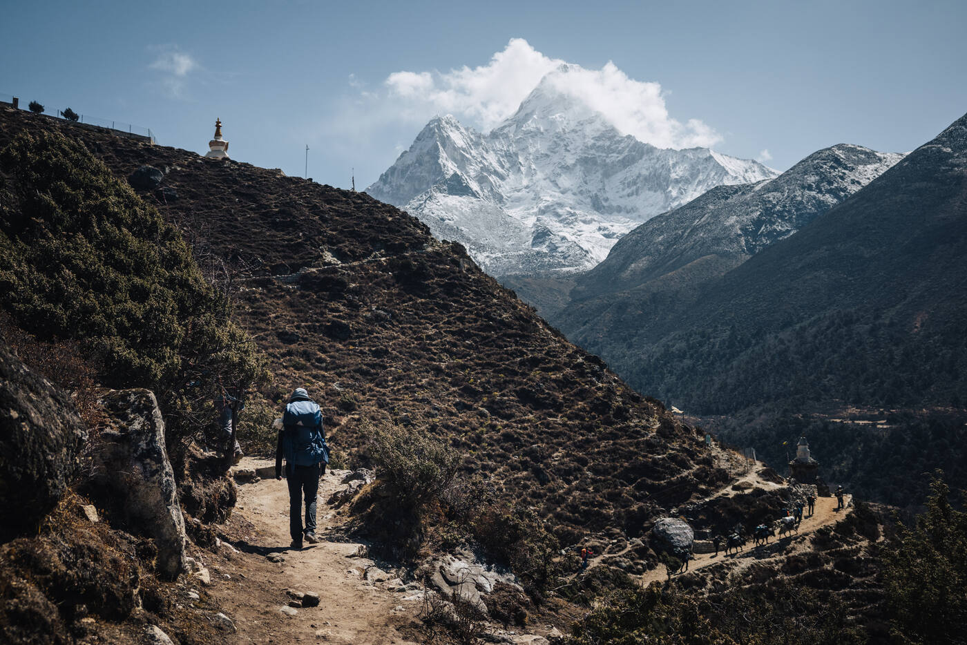 A lone trekker walking the wide Pangboche trail toward Ama Dablam
