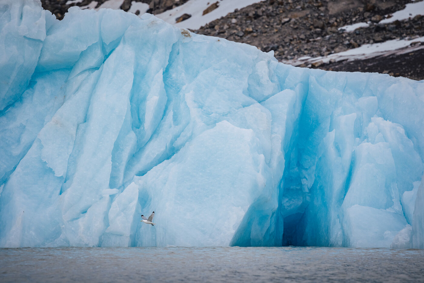 Blue ice detail with crevasse shadows