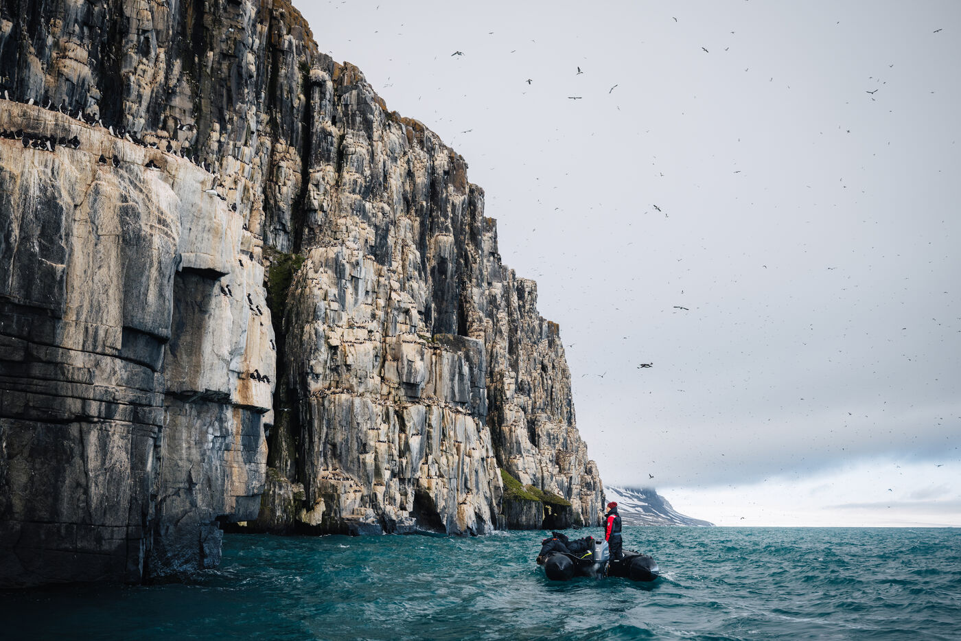 Zodiac at the foot of the Alkefjellet cliffs with birds wheeling overhead