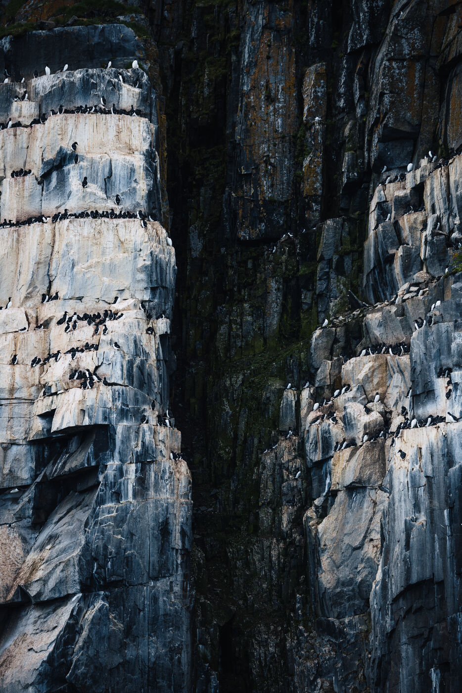 Basalt cliff with white bird guano streaks