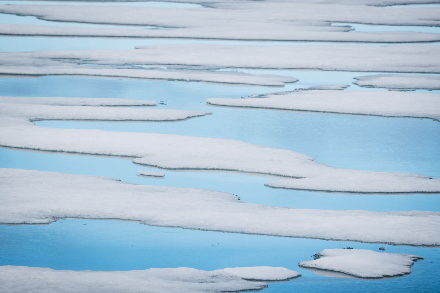 Pack ice floes drifting on pale blue water
