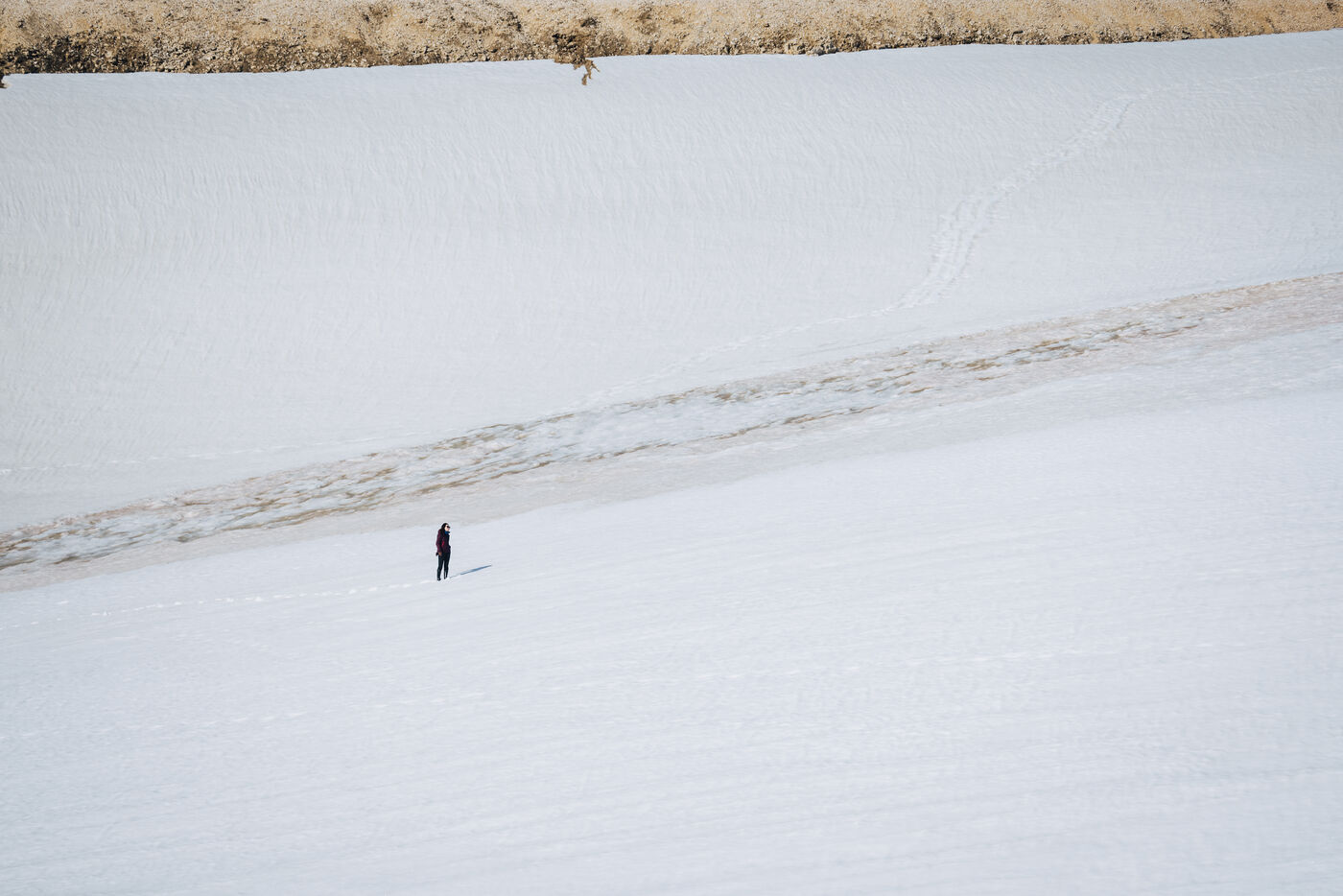 Person standing between waves of white ice and dark rocky shore
