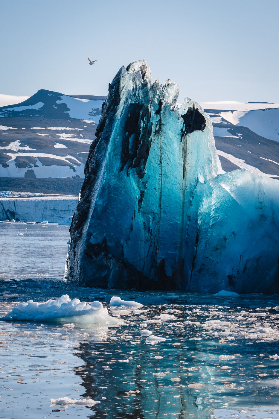 Sculptural blue and white iceberg face reflecting light