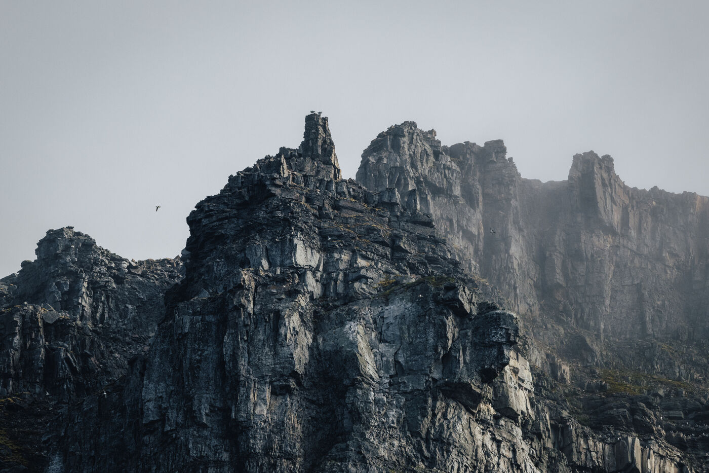 Towering cliff spires with a single seabird in flight