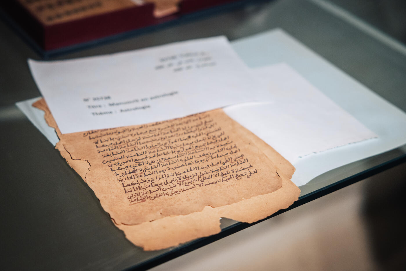 Single ancient manuscript on glass surface