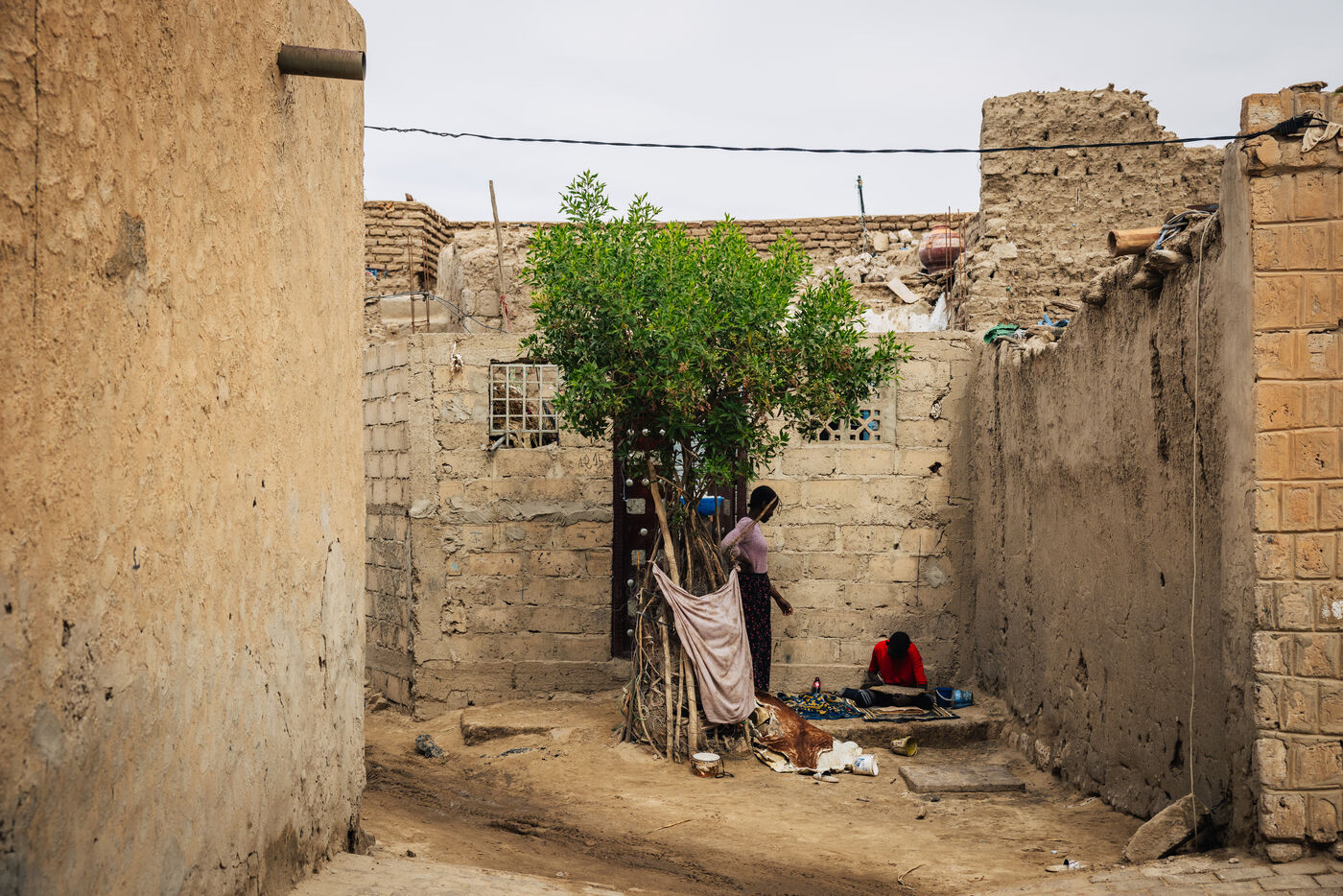 Person in sandy alley with tree