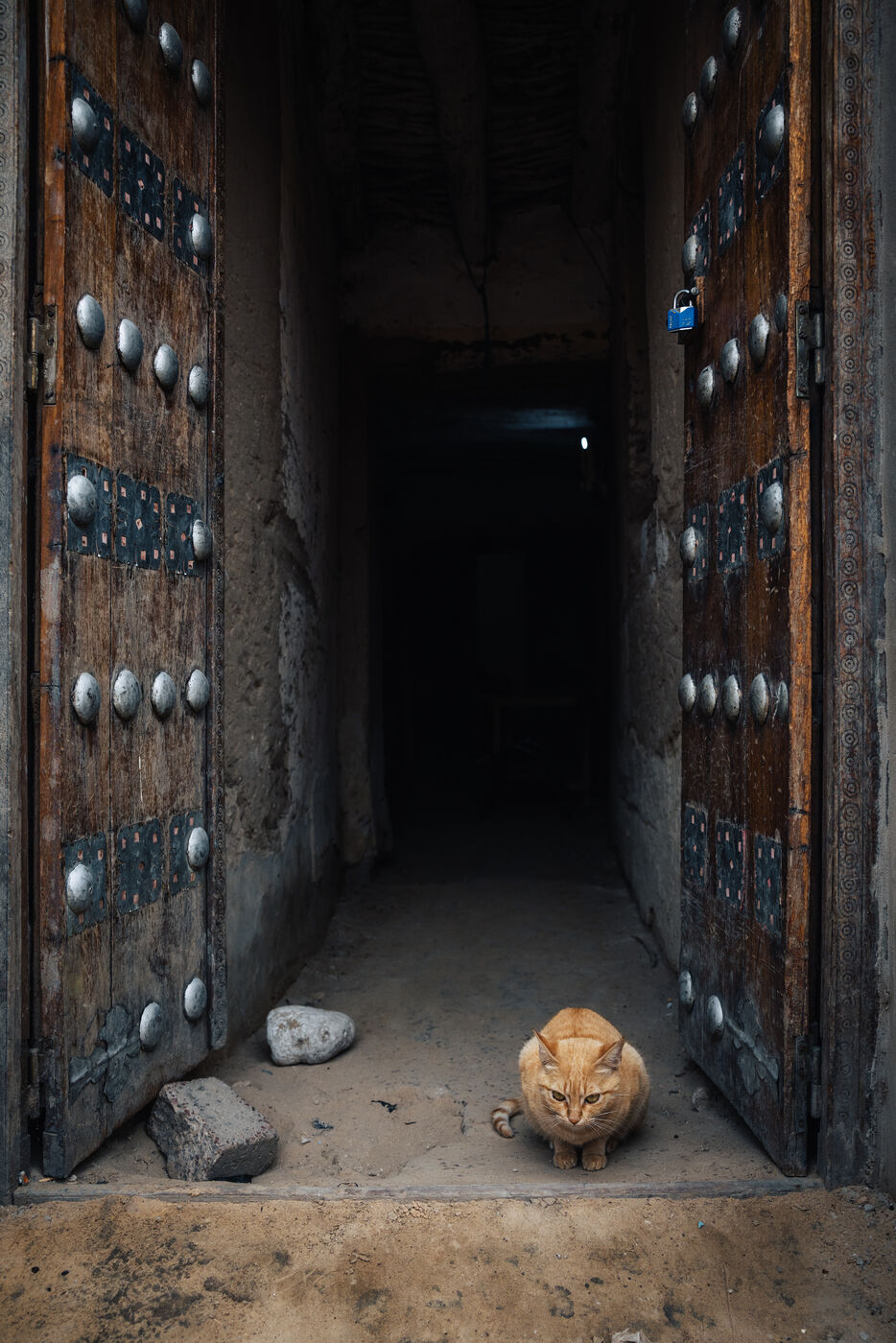 Cat lounging in centuries-old studded doorway