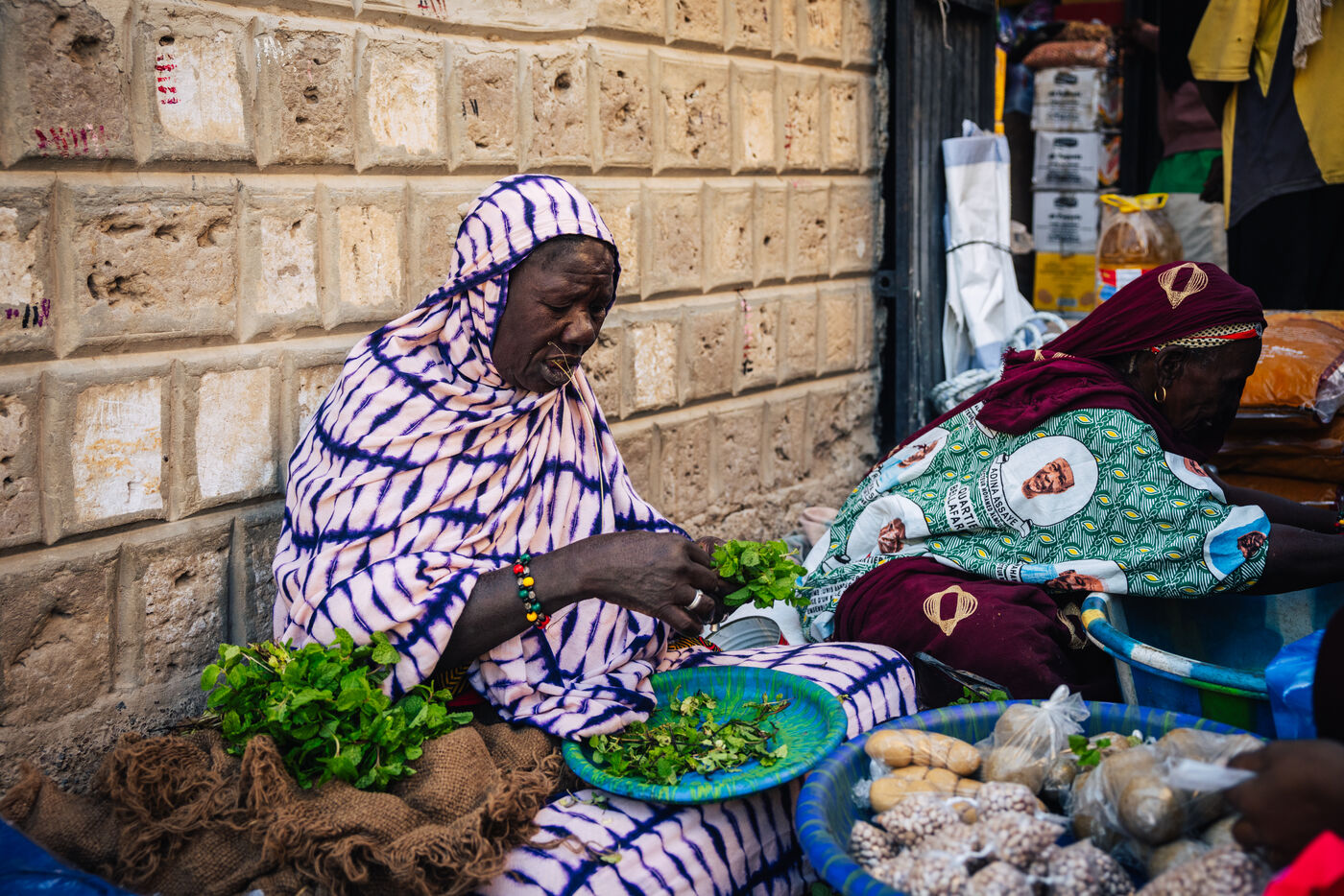 Woman preparing fresh herbs and vegetables