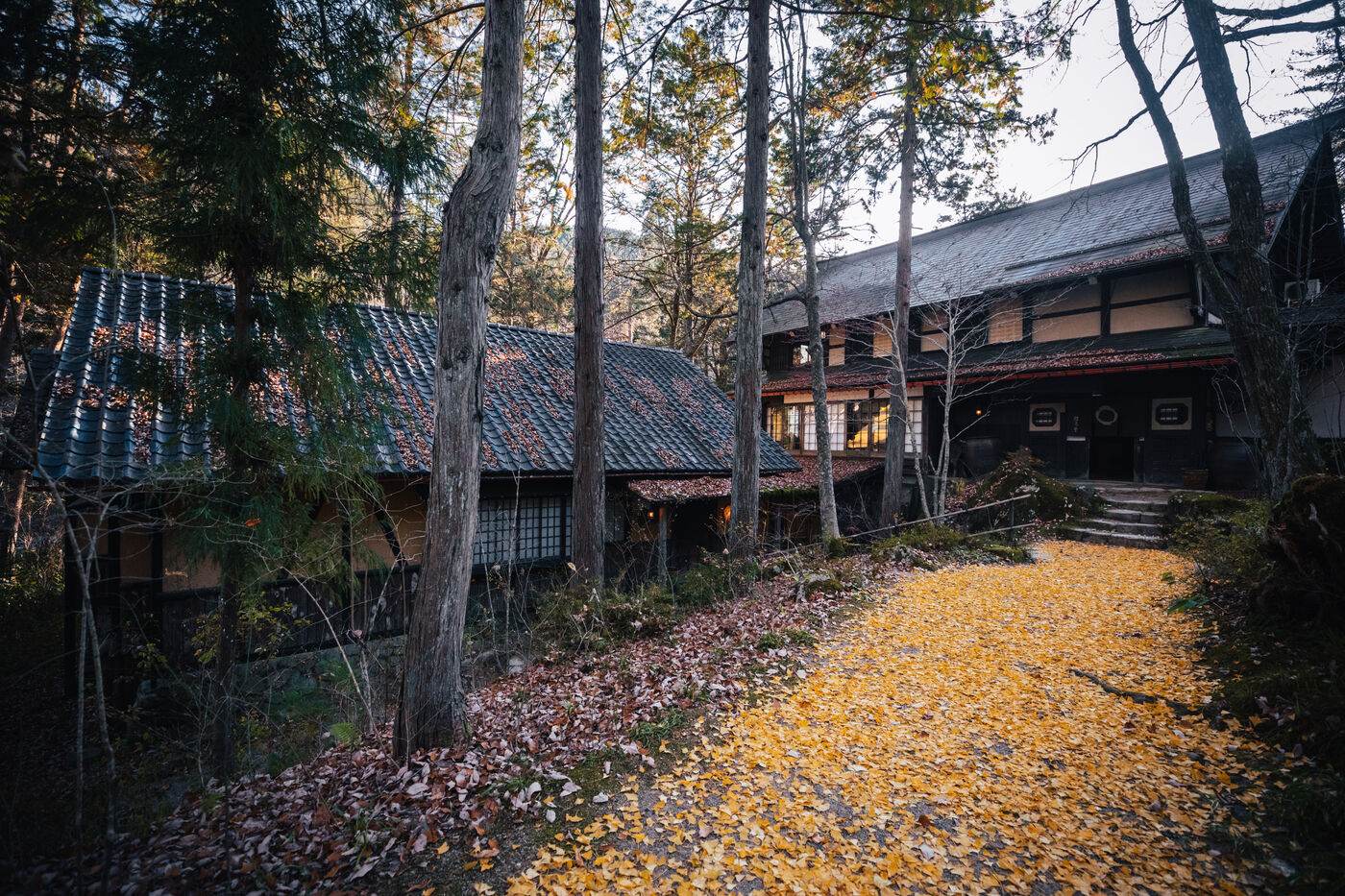 Wanosato